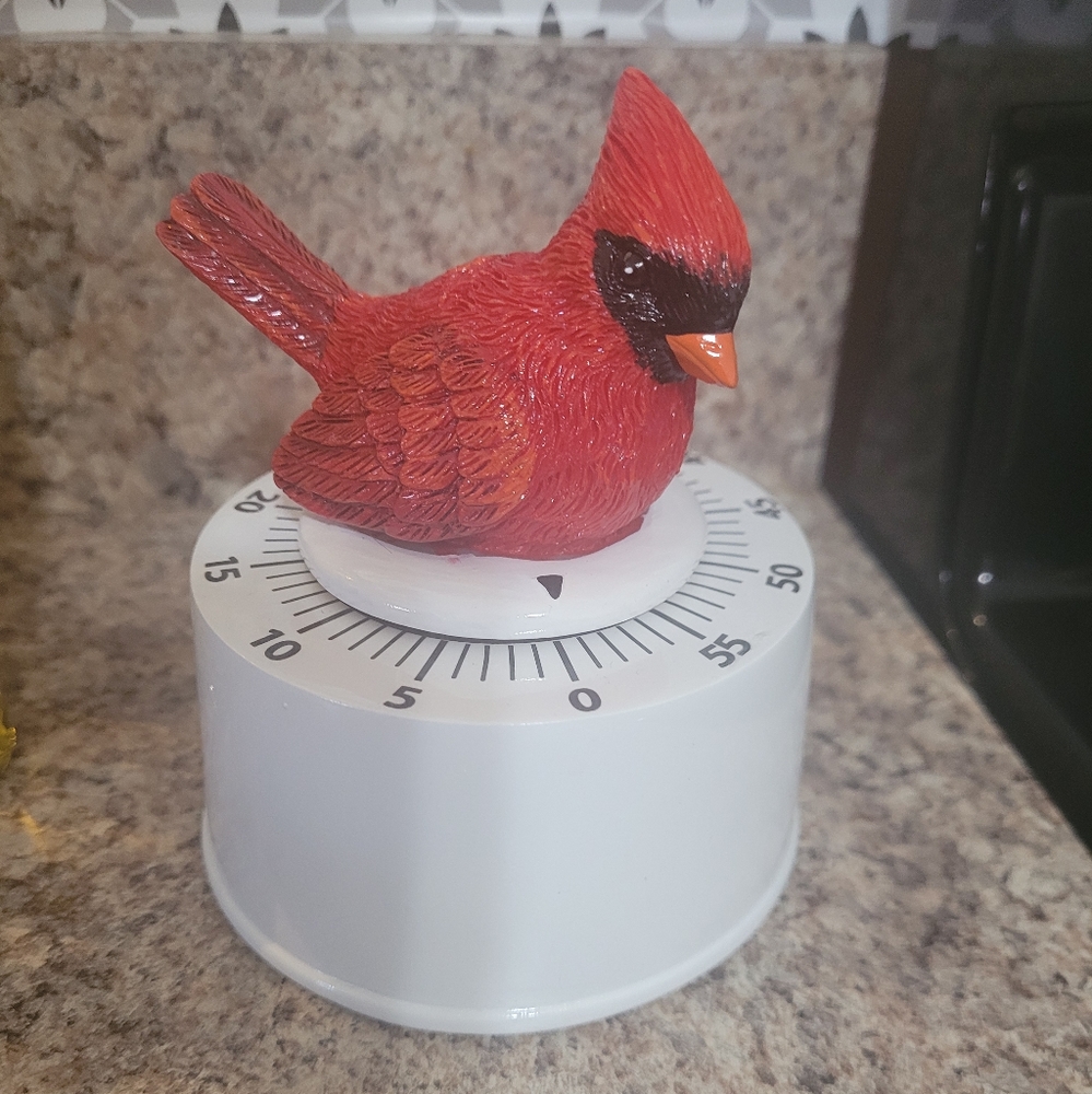 Cardinal kitchen timer